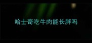 哈士奇吃牛肉能长胖吗
