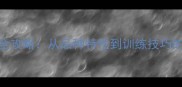 拉布拉多犬饲养全攻略从品种特性到训练技巧的120天养成指南