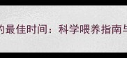边牧幼犬喂干粮的最佳时间科学喂养指南与黄金期注意事项