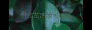 打疫苗洗澡可以吗