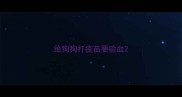 给狗狗打疫苗要验血