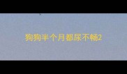 狗狗半个月都尿不畅