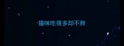 猫咪吃很多却不胖