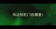 母边牧肛门在哪里
