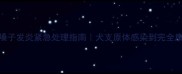 泰迪犬嗓子发炎紧急处理指南犬支原体感染到完全康复全记录