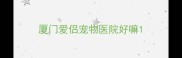 厦门爱侣宠物医院好嘛