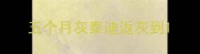 五个月灰泰迪返灰到