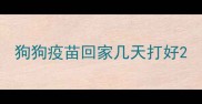 狗狗疫苗回家几天打好