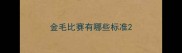 金毛比赛有哪些标准