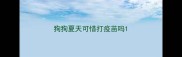 狗狗夏天可惜打疫苗吗