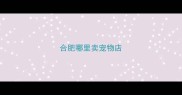合肥哪里卖宠物店