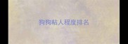 狗狗粘人程度排名