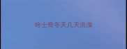 哈士奇冬天几天洗澡