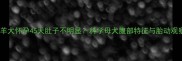 边境牧羊犬怀孕45天肚子不明显科学母犬腹部特征与胎动观察指南