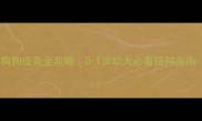 狗狗疫苗全攻略0-1岁幼犬必看接种指南
