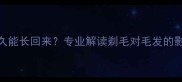 金毛剃毛后多久能长回来专业解读剃毛对毛发的影响与护理指南