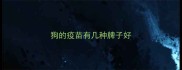 狗的疫苗有几种牌子好