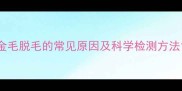金毛脱毛的常见原因及科学检测方法