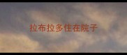 拉布拉多住在院子