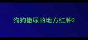 狗狗撒尿的地方红肿