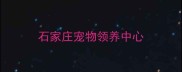 石家庄宠物领养中心