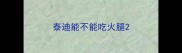 泰迪能不能吃火腿