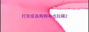 打完疫苗狗狗有点拉稀