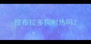 拉布拉多狗耐热吗