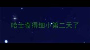 哈士奇得细小第二天了
