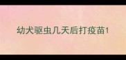 幼犬驱虫几天后打疫苗