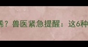 哈士奇不吃不喝还拉稀兽医紧急提醒这6种情况必须立即送医