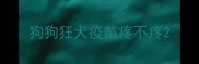狗狗狂犬疫苗疼不疼