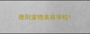 德阳宠物美容学校