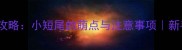 无尾犬养护全攻略小短尾的萌点与注意事项新手必看养宠指南