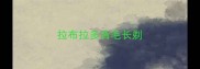拉布拉多背毛长剃