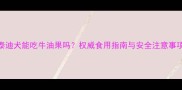 泰迪犬能吃牛油果吗权威食用指南与安全注意事项