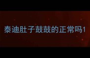 泰迪肚子鼓鼓的正常吗