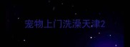 宠物上门洗澡天津