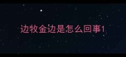 边牧金边是怎么回事