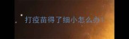 打疫苗得了细小怎么办