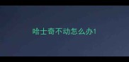 哈士奇不动怎么办