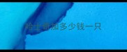哈士奇加多少钱一只