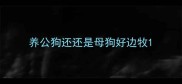 养公狗还还是母狗好边牧