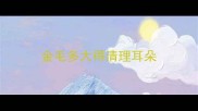 金毛多大得清理耳朵