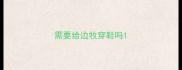 需要给边牧穿鞋吗