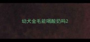 幼犬金毛能喝酸奶吗