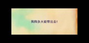 狗狗多大能带出去