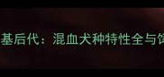 边牧与柯基后代混血犬种特性全与饲养指南