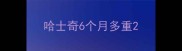 哈士奇6个月多重