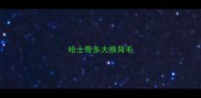 哈士奇多大换背毛